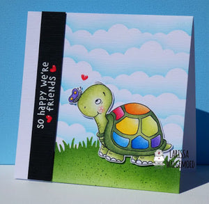 Hello friend turtle - So happy we're friends - Larissa