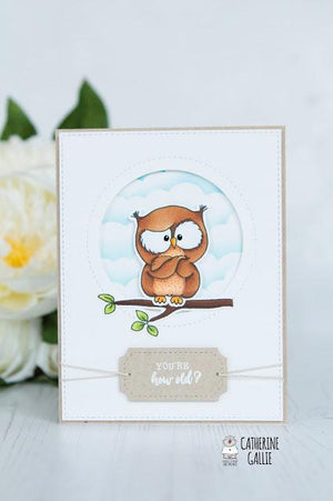 You're how old? - Owl card
